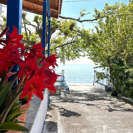 αγκυροβόλιο * Ilia